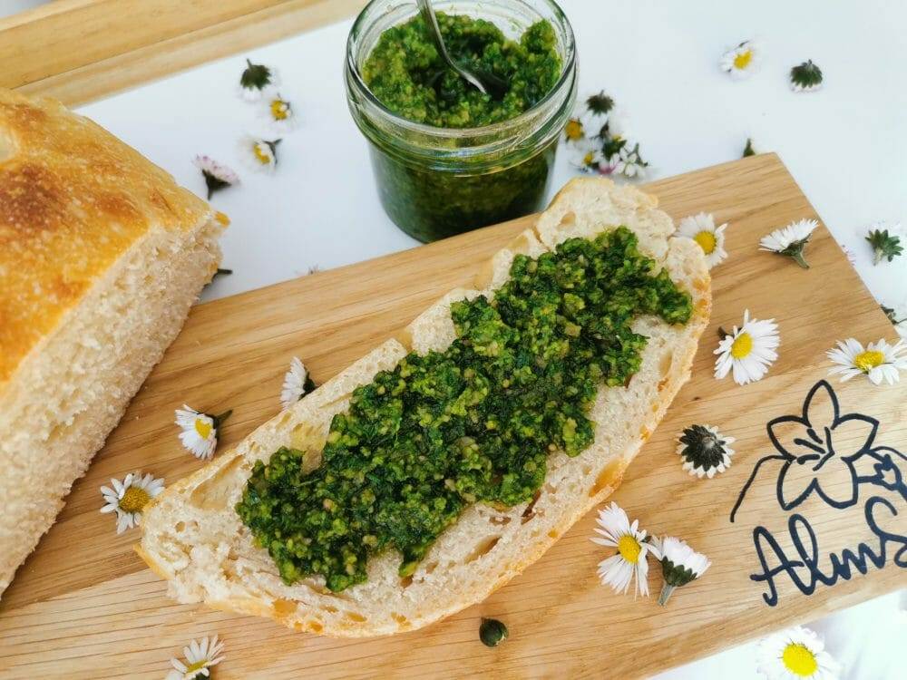 Bärlauch-Pesto - Grundrezept (vegan) - AlmSinn
