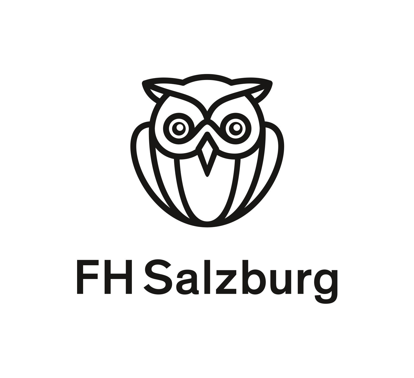 Fachhochschule Salzburg