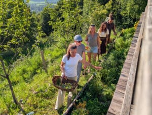 PXL_20250818_154556996.MP