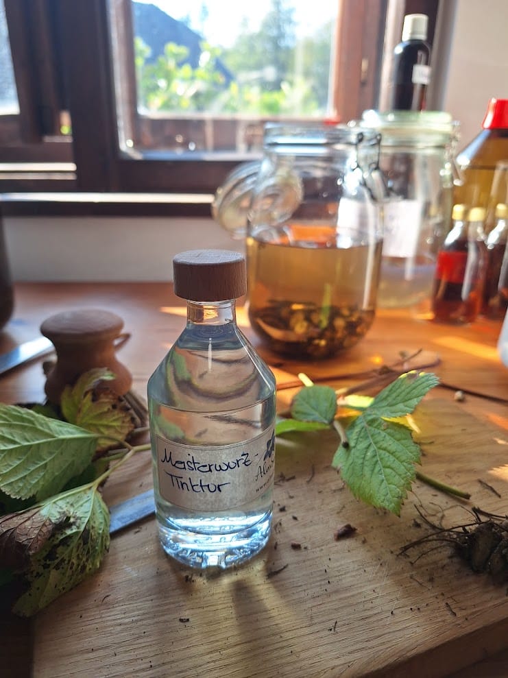 Meisterwurz-Tinktur 100 ml