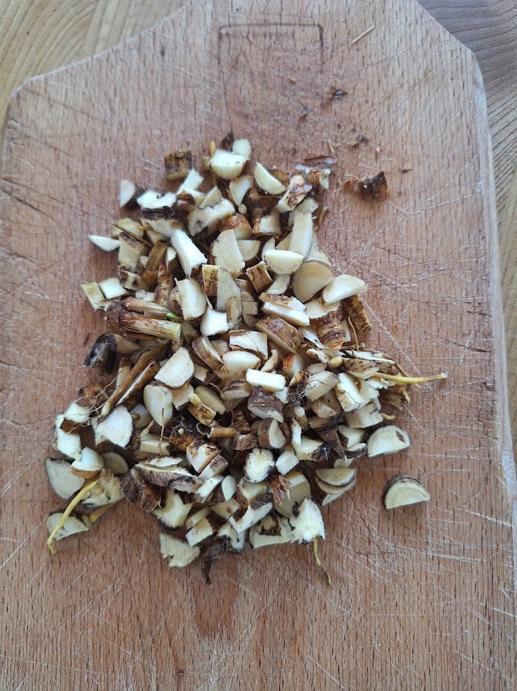 Meisterwurz-Tinktur 100 ml – Bild 4